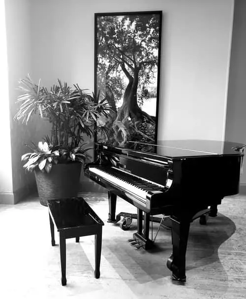 Black and White Grand Piano
