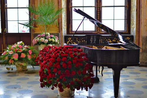 Piano and Roses