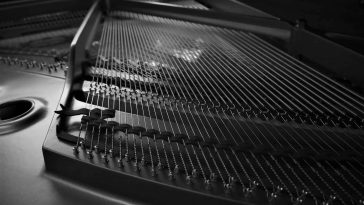 close up of a musical instrument